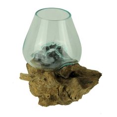 a glass vase sitting on top of a piece of driftwood