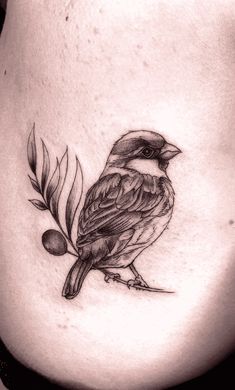 a black and white photo of a bird on the side of a woman's stomach