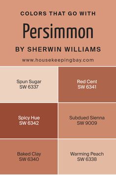 Colors that Go With Persimmon SW 6339 by Sherwin Williams Terracotta Paint Sherwin Williams, Sw Baked Clay, Sw Coral Clay, Red Cent Sherwin Williams, Decorous Amber Sherwin Williams, Red Clay Paint Color, Sherwin Williams Warming Peach, Spicy Hue Sherwin Williams, Terracotta Paint Color Sherwin Williams