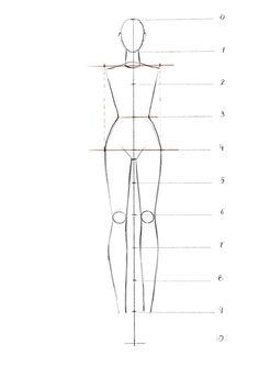 an image of a female mannequin's body with the measurements for it