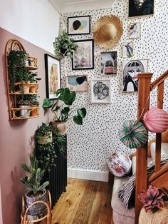 a room with some plants and pictures on the wall