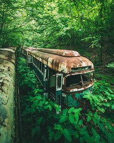 an old rusty bus sitting in the middle of some green plants and trees with lots of leaves around it