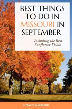 the best things to do in missouri in september including the best sunflower fields