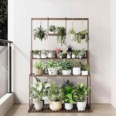 a shelf filled with potted plants on top of a wooden floor