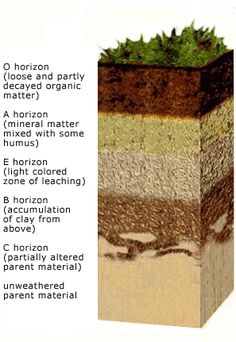 the layers of earth are labeled in this diagram, with information about each layer and what they look like