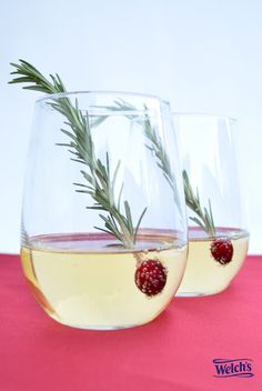 two glasses filled with white wine and garnished with green sprigs, on a pink surface