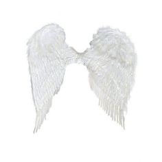 two white angel wings on a white background