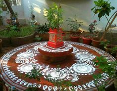 a table that has some plants on it in the middle of a room with potted plants