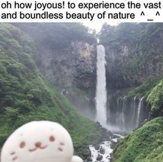 a stuffed animal is looking at a waterfall in the distance with caption that reads, oh how joyous to experience the vast waterfalls and boundaries beauty of nature