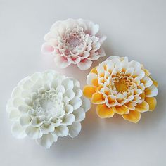 three white and yellow flowers sitting on top of a table