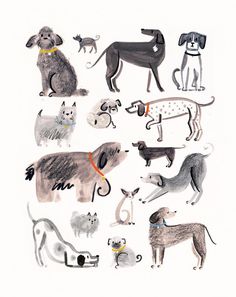 a drawing of dogs with collars and leashes