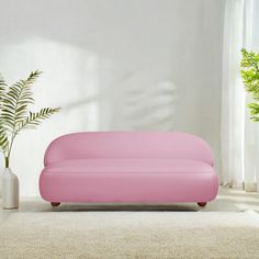 a pink couch sitting on top of a white rug in a living room next to a potted plant