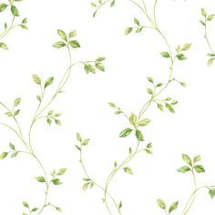 a green plant with leaves is shown on a white wallpaper background that looks like it has been painted in watercolor