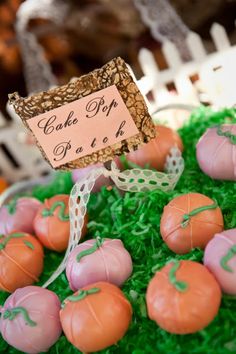 small pumpkins are on display in a bowl with moss and ribbon around them, along with a sign that says cake pops for sale