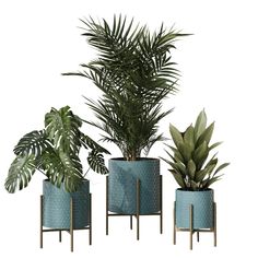 three planters with plants in them on a white background, one is blue and the other has green leaves