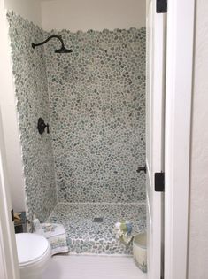 a bathroom with a shower and toilet in it