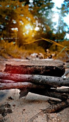 some logs are laying on the ground in front of trees and sunlight shining through the leaves