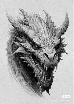 a drawing of a dragon's head