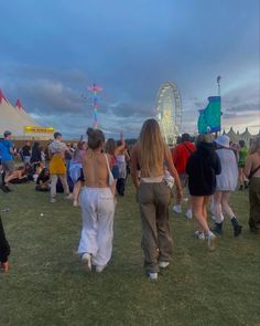 some people are walking around in the grass at an outdoor event with a ferris wheel in the background