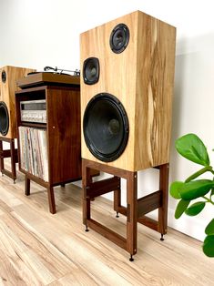 three wooden speakers sitting next to each other in front of a plant on top of a hard wood floor