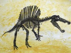 an image of a dinosaur skeleton with long legs and large claws on it's back