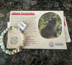 a beaded bracelet with an image of a black bear on it and the words fahlo next to it