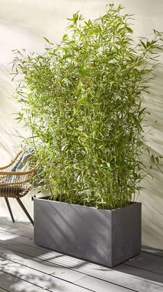 a tall planter sitting on top of a wooden floor next to a chair and table