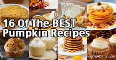 there are many different types of pumpkins on the table with text overlay that says, 16 of the best pumpkin recipes