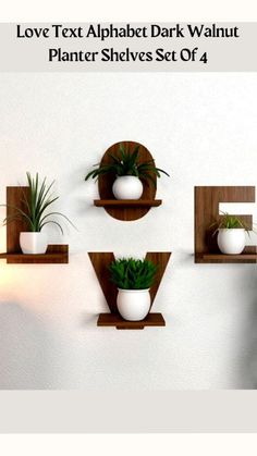 three wooden shelves with plants on them against a white wall