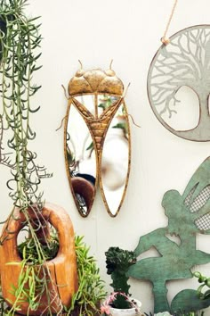 some plants and mirrors hanging on the wall