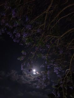 the full moon is shining brightly in the night sky with purple flowers on it's branches