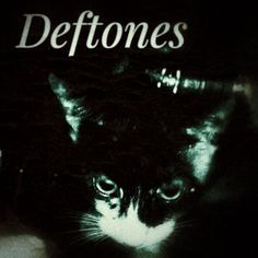 a black and white cat with the words deftones on it