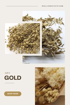 an image of dried flowers and herbs with the words dry gold on it in three different pictures