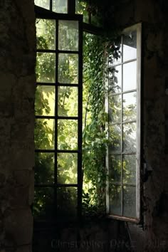 an open window with ivy growing on it