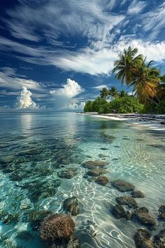 the water is crystal clear and blue with rocks in front of it, as well as palm trees