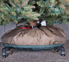 there is a tree that has been placed under the cover on this bed, and it's still attached to the floor