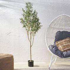 a small tree in a white hanging chair next to a potted plant on the floor