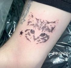 a cat tattoo on the arm with stars