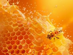 a honeycomb with water droplets and a bee on it's back, in front of an orange background