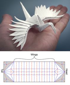 a hand holding an origami bird in it's left hand and another image of the wing