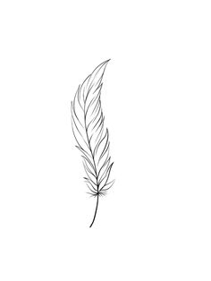 a black and white drawing of a feather