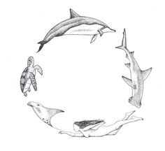 four different types of dolphins and sea animals in the shape of a circle with one dolphin swimming