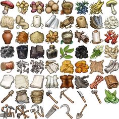 an assortment of different types of mushrooms and other things