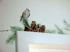 a bird sitting on top of pine cones and evergreen needles in front of a white wall