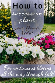 a sign that says how to succession plant your flower beds for continuous blooms all the way through fall