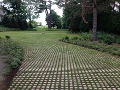 a walkway in the middle of a grassy area