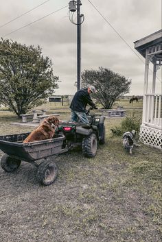 a man riding on the back of an atv with a dog sitting in the trailer