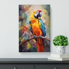 a colorful parrot perched on a tree branch in front of a white wall with a potted plant