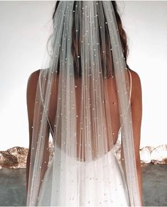 the back of a woman's wedding dress with beaded veil on her head