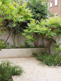 an outdoor area with trees and plants on the side of the wall, surrounded by brick pavers